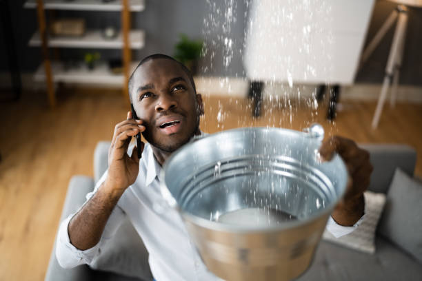 Best Emergency water damage restoration  in Darlington, WI