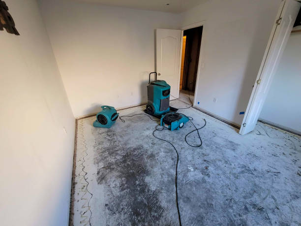 Carpet water damage restoration in Darlington, WI