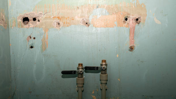 Best Local water damage restoration  in Darlington, WI