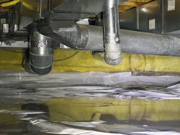 Best Water damage restoration services  in Darlington, WI