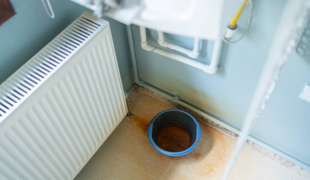 Best Fire Damage Restoration  in Darlington, WI