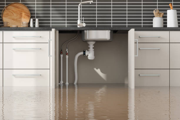 Best Flooded house restoration  in Darlington, WI