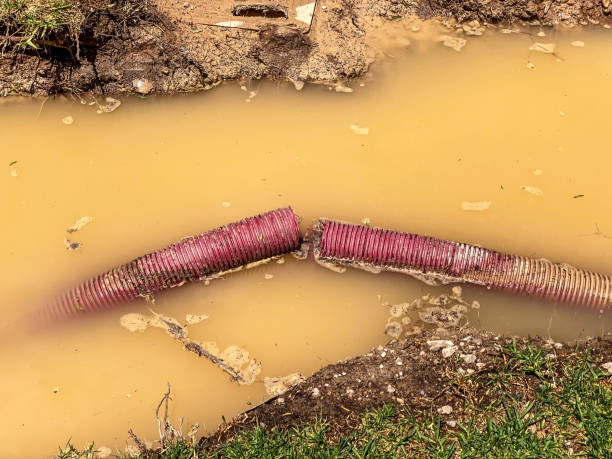 Best Flood restoration services  in Darlington, WI