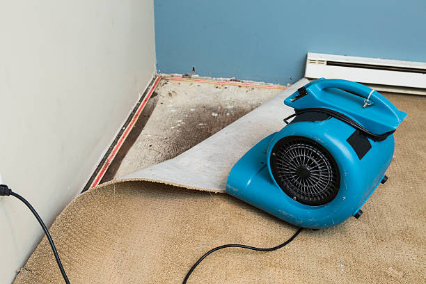 Best Residential water damage restoration  in Darlington, WI
