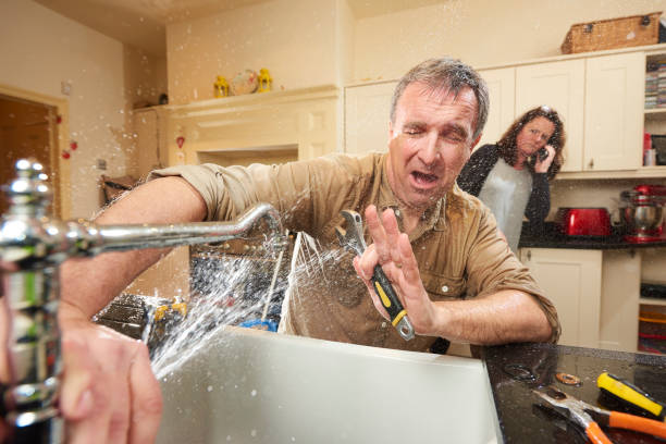 Best Water damage restoration near me  in Darlington, WI